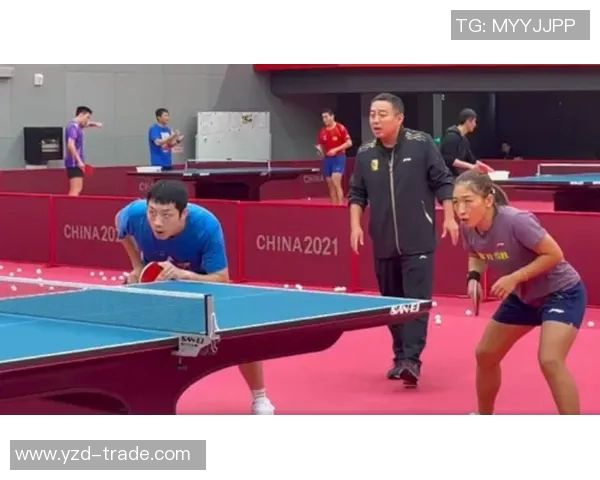 杭州乒乓球队与深圳乒乓球队赛后战术分析与总结探讨