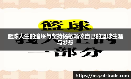 篮球人生的追逐与坚持杨敏畅谈自己的篮球生涯与梦想