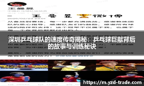 深圳乒乓球队的速度传奇揭秘：乒乓球巨献背后的故事与训练秘诀
