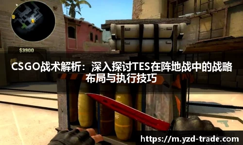 CSGO战术解析：深入探讨TES在阵地战中的战略布局与执行技巧