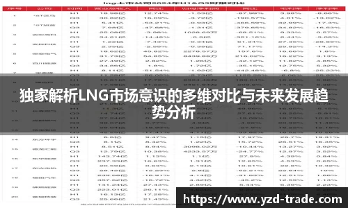 独家解析LNG市场意识的多维对比与未来发展趋势分析