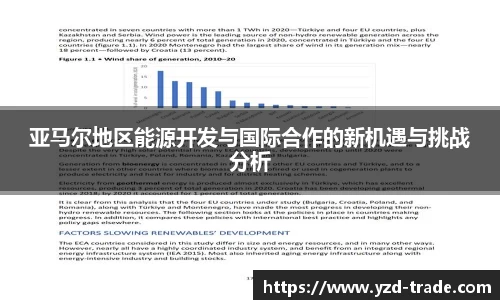 亚马尔地区能源开发与国际合作的新机遇与挑战分析