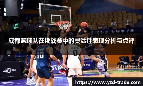 成都篮球队在挑战赛中的灵活性表现分析与点评